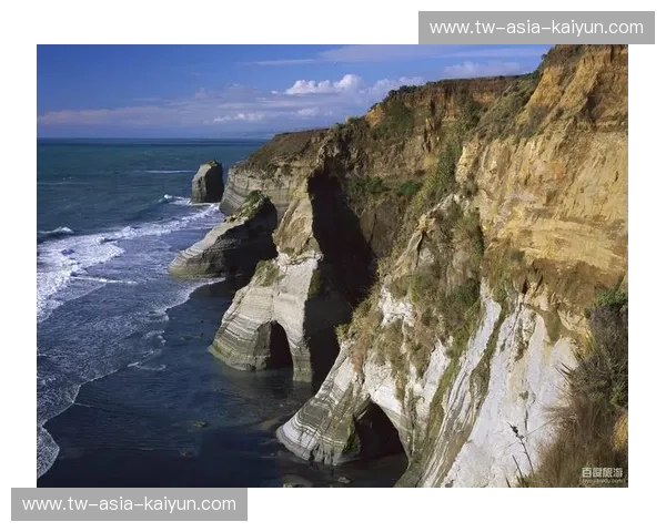 塔斯曼海两岸的灵魂博弈：惠灵顿的文艺慢活vs.悉尼的璀璨繁华
